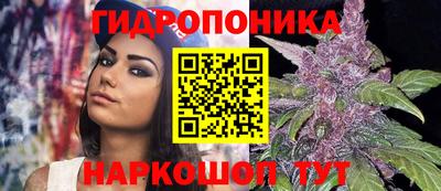 ГАЛЛЮЦИНОГЕННЫЕ ГРИБЫ Гусь-Хрустальный