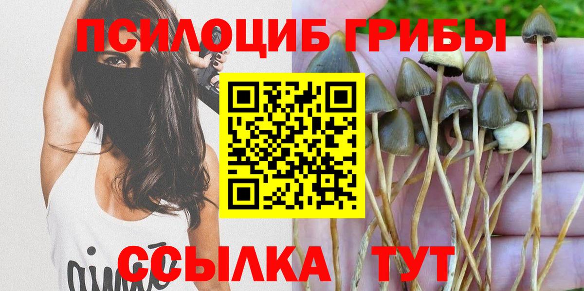 Псилоцибиновые грибы Magic Shrooms Казань