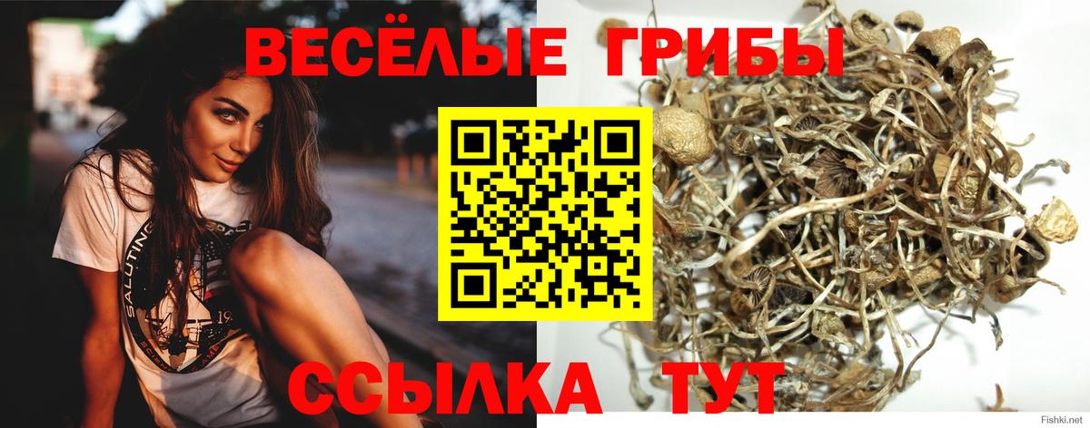 Галлюциногенные грибы мухоморы  Вход с VPN  Казань 